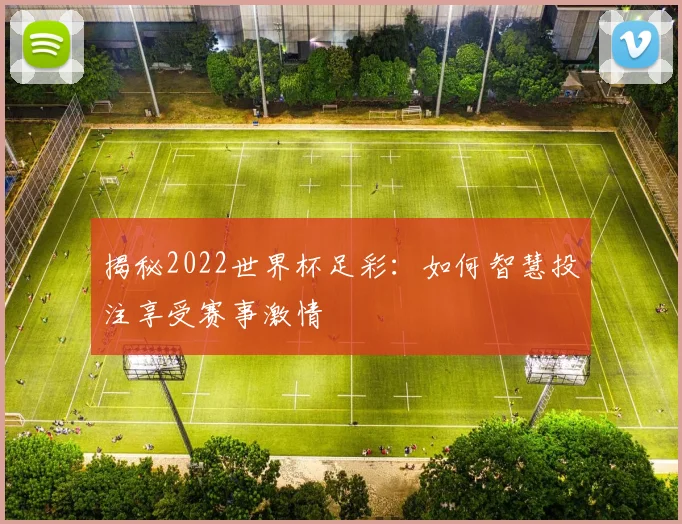 揭秘2022世界杯足彩：如何智慧投注享受赛事激情
